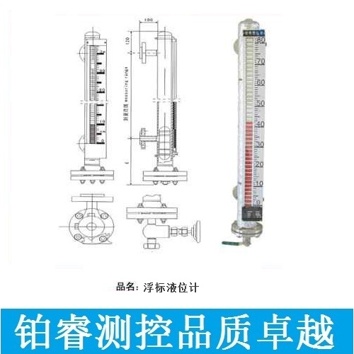 浮標(biāo)液位計-鉑睿測控