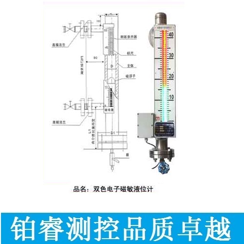 磁敏雙色液位計-鉑睿測控